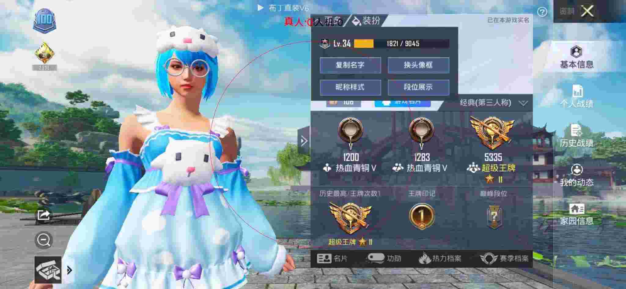和平精英布丁直装透视 - 和平精英-和平辅助画画图片辅助预览图